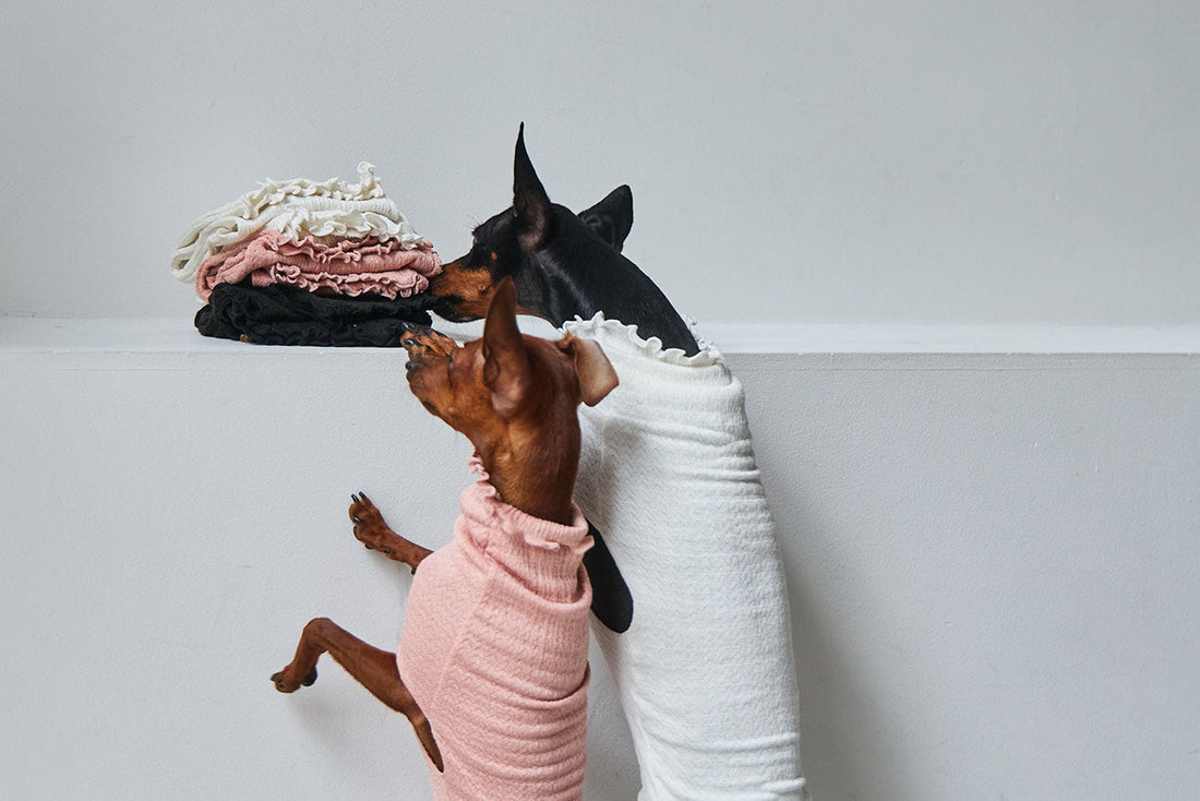 販売を再開します。