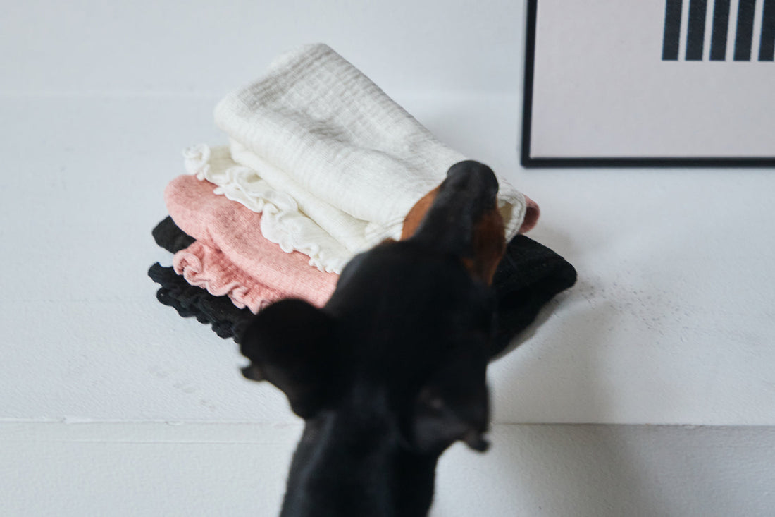 今、少し立ち止まっている理由。