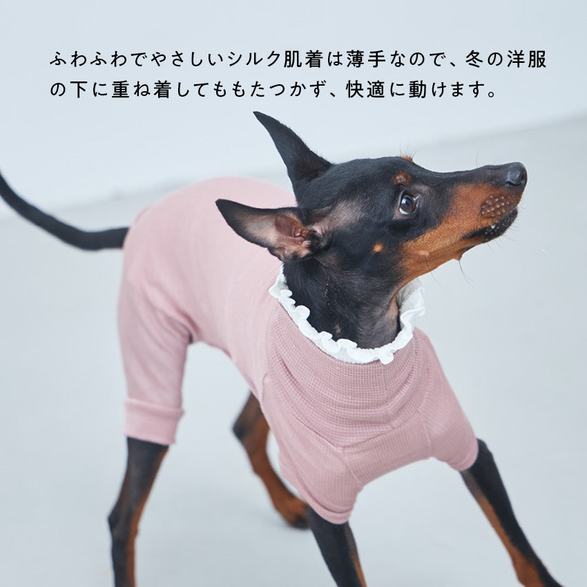 寒がり犬のための重ね着