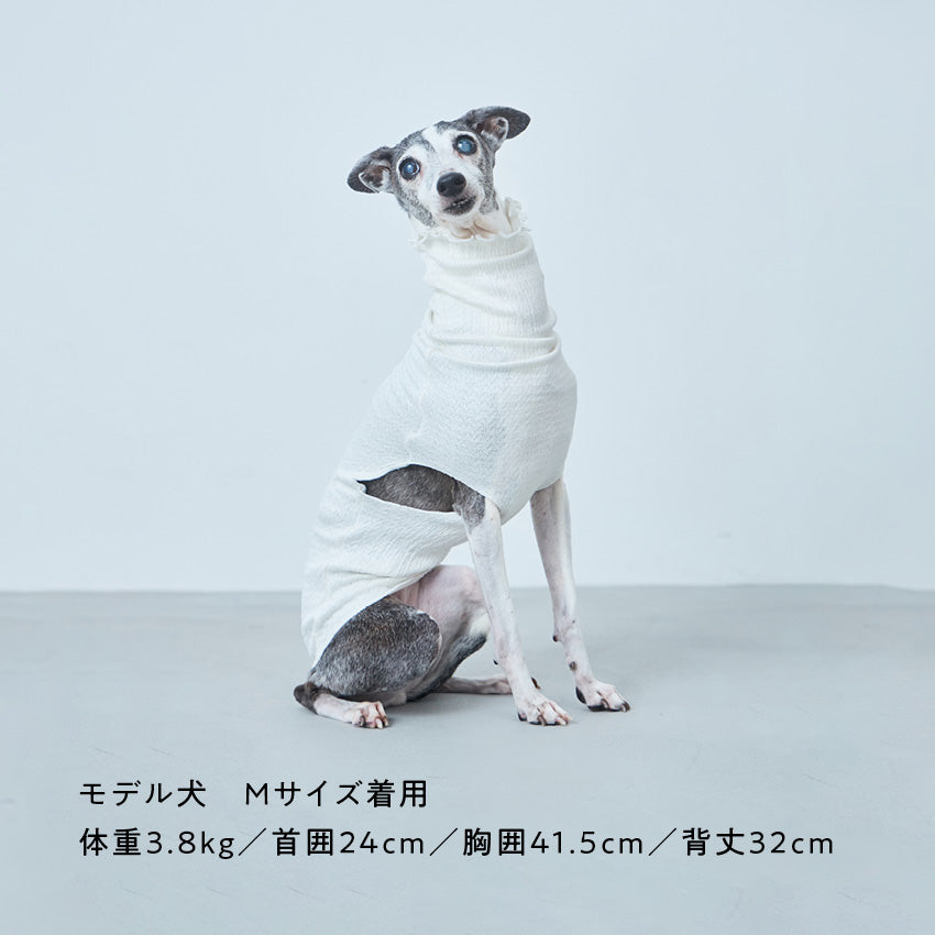 イタグレ向けのインナー