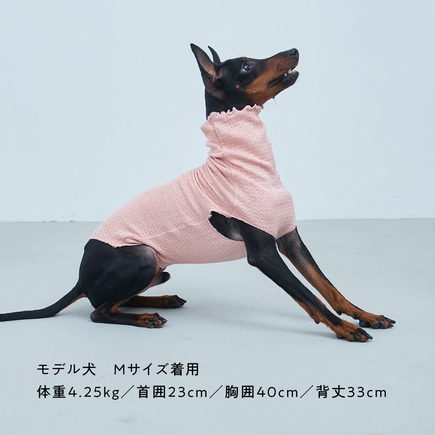 トイマン向けのインナー
