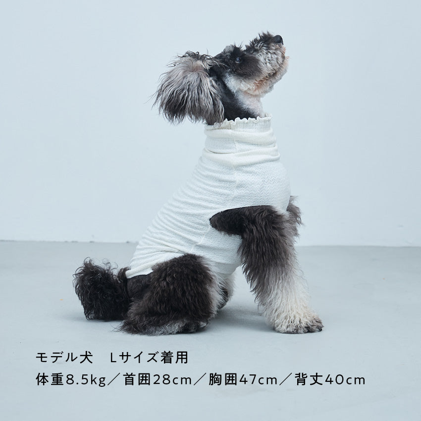 ミニシュナ向けのインナー