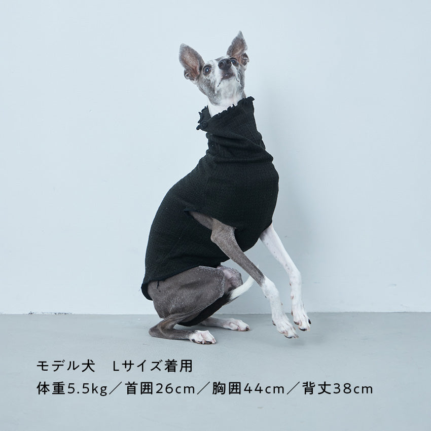 寒がり犬のためのシルク肌着