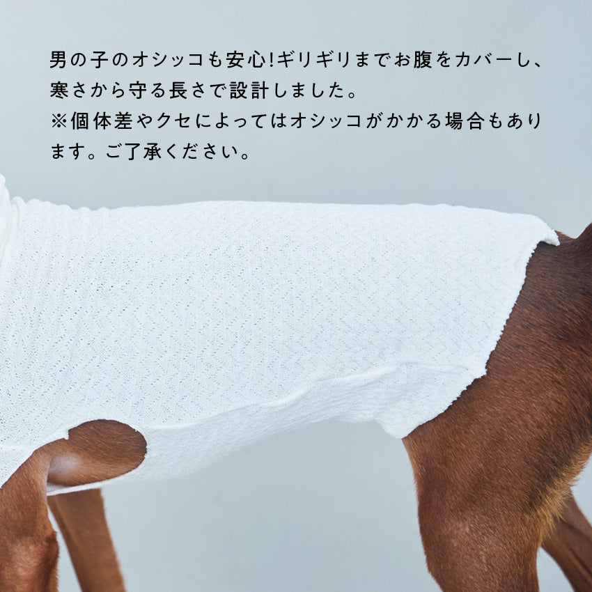 寒がり犬のためのシルク肌着