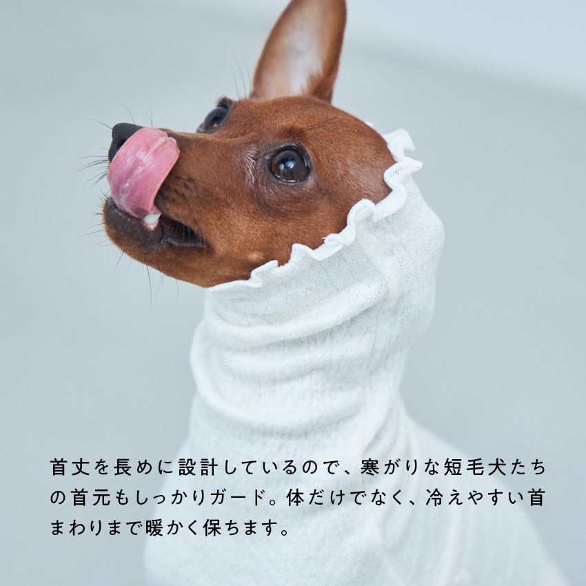 寒がり犬のためのシルク肌着